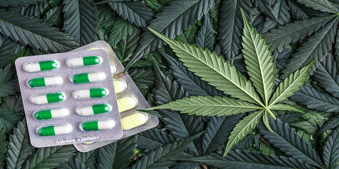 What You Need to Know about CBD and its Capsules