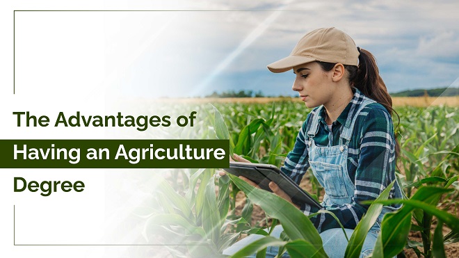 The Advantages of Having an Agriculture Degree